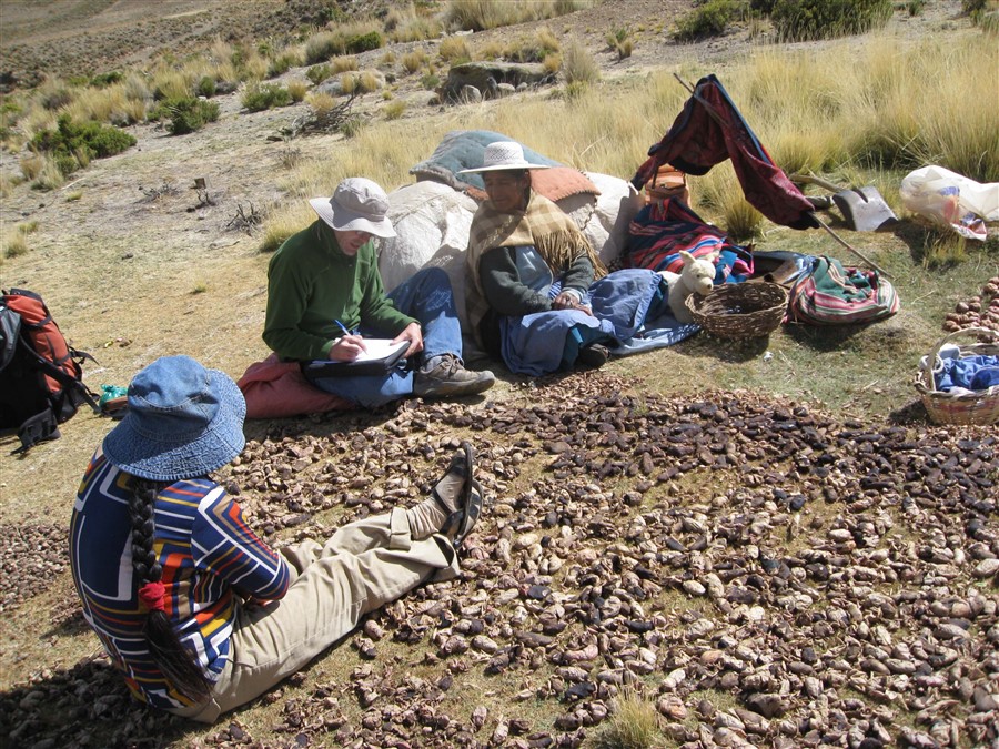 Entrevista de campo en el valle de Huanuni, mujeres
preparando el tradicional chuño de papa para aprovisionarse para el invierno