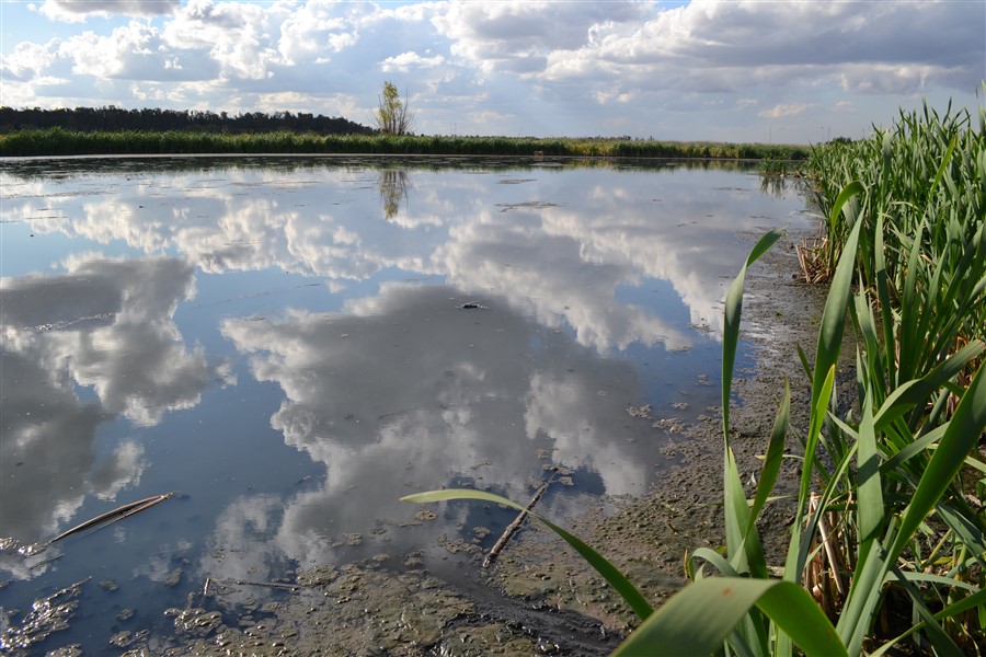 Laguna de Rocha. Cuenca
Matanza-Riachuelo