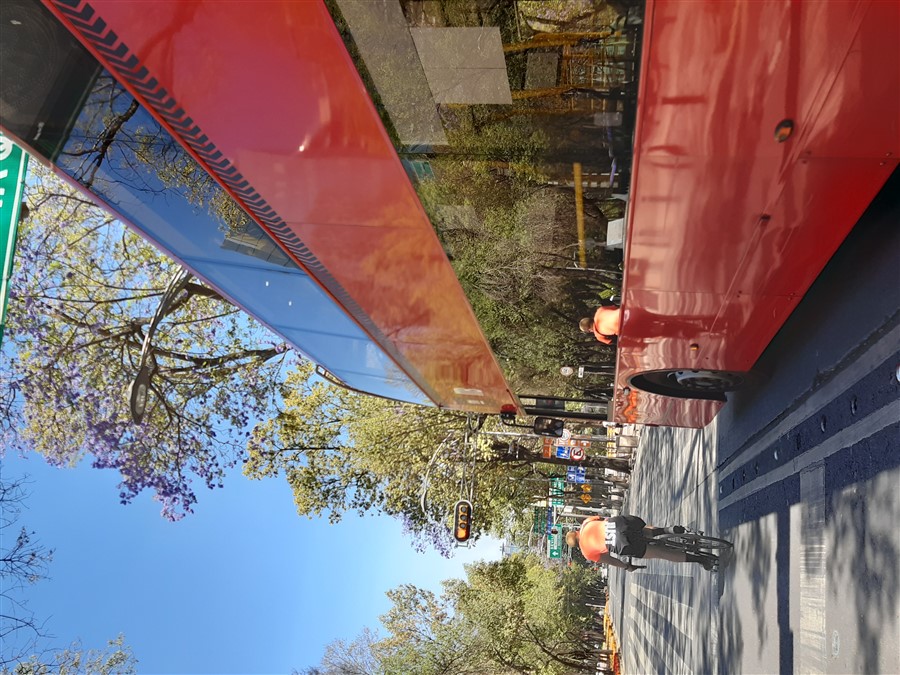  Ciclista 