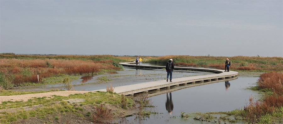  Intervenci&oacute;n de Buiteneiland