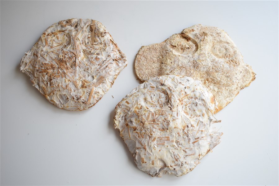 Piezas de micelio realizadas a partir del mismo molde