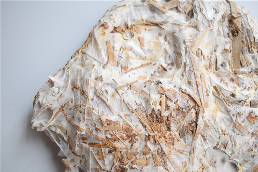 Textura pieza superior izquierda (Fig.4)