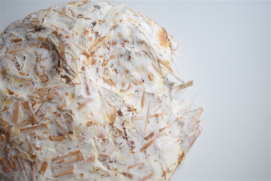 Textura pieza derecha inferior (Fig.4)