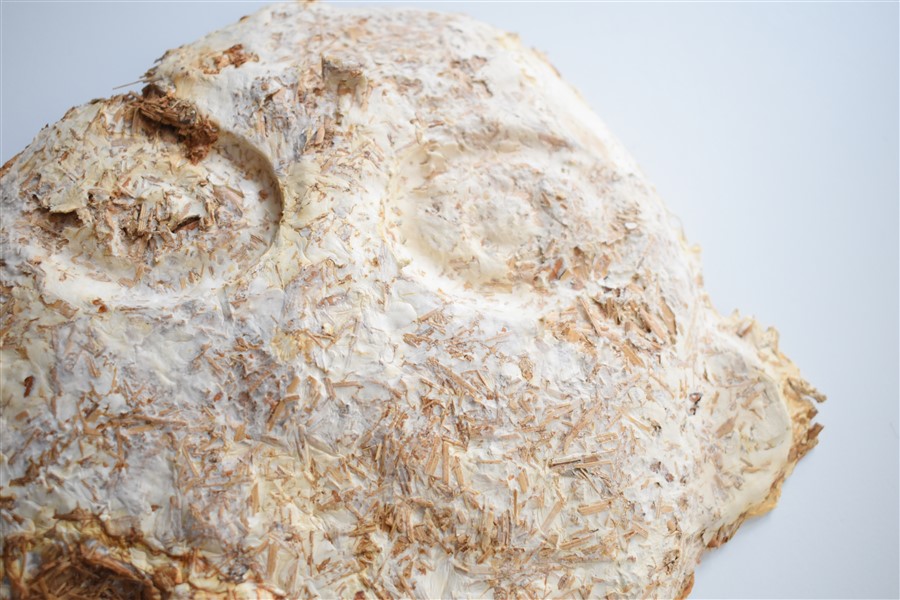 Textura pieza derecha superior (Fig. 4)