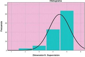 Dimensión: Supervisión