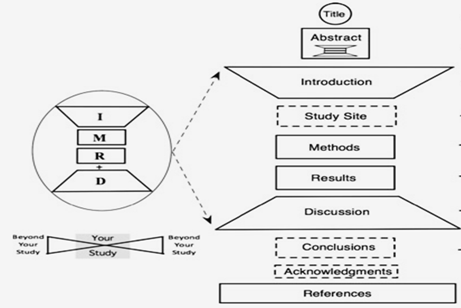 Representación esquemática de la estructura IMRAD en trabajos de investigación