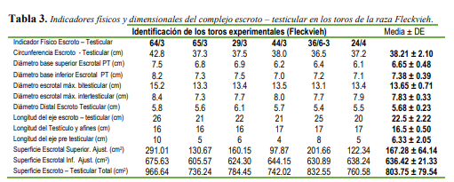 Indicadores físicos y dimensionales del complejo escroto –
testicular en los toros de la raza Fleckvieh.