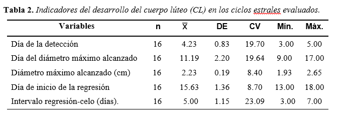 Indicadores
del desarrollo del cuerpo lúteo (CL) en los ciclos estrales evaluados.