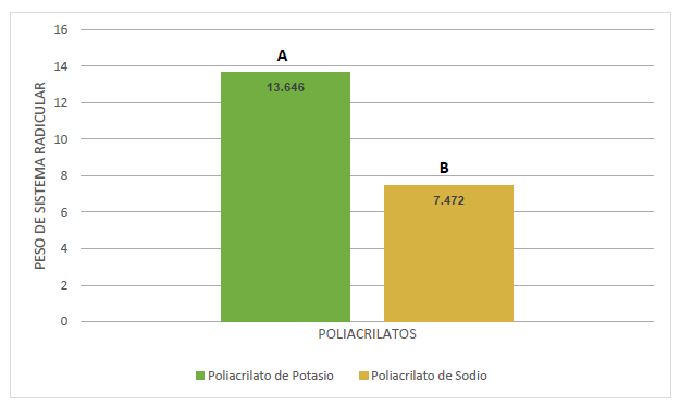 Media de los poliacrilatos
(potasio y sodio) con Prueba Duncan para sistema radicular.