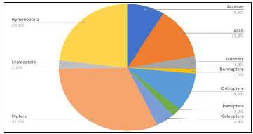 Composición
de la comunidad de artrópodos en ciprés por Orden.