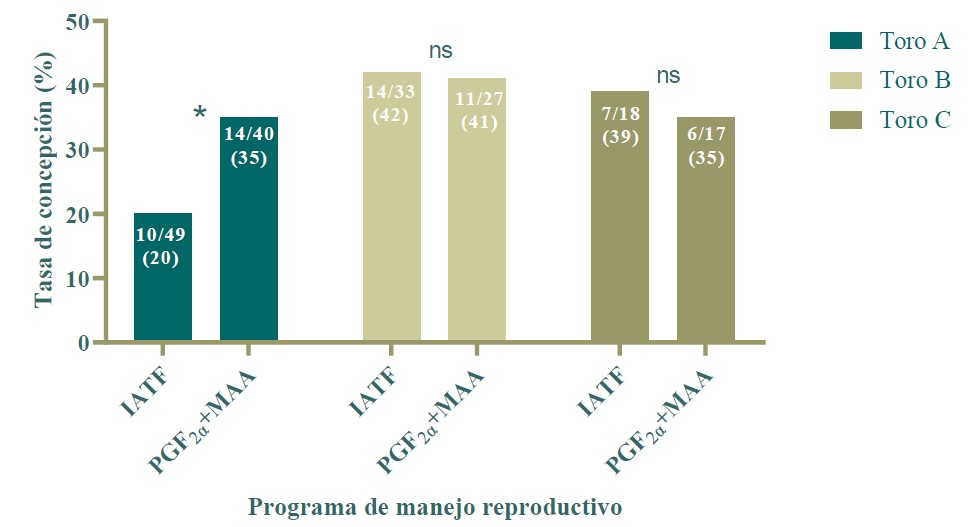  Tasa de
concepción en vacas Holstein según programa de manejo reproductivo y toro empleado en la inseminación (n = 184). *p<0.05; ns p>0,05