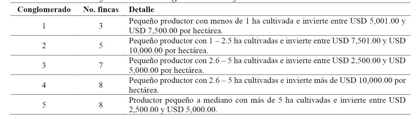  Conformación de conglomerados de fincas hortícolas en Cerro Punta.