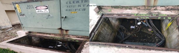 Cajilla eléctrica sin seguridad dentro de las áreas verdes del Centro
Regional Universitario de Colón