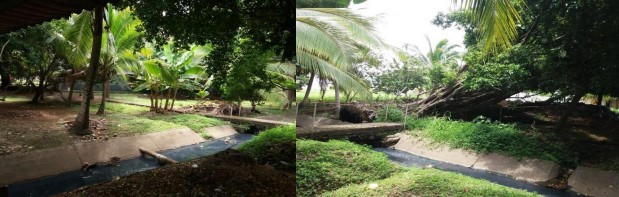 cuneta de aguas residuales que atraviesa áreas verdes del Centro Regional
universitario de Colón