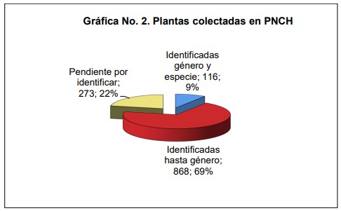 Plantas colectadas en PNCH