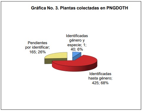 Plantas colectadas en PNGDO TH