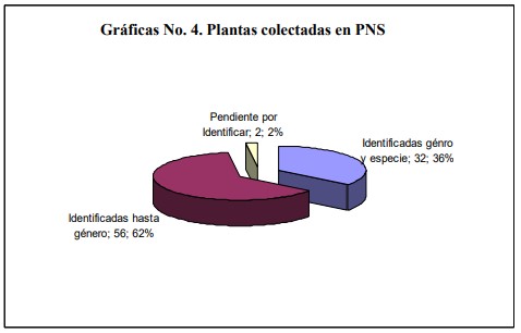 Plantas colectadas en PNS