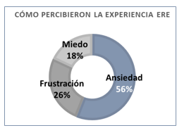 Experiencia final del uso de la Educación
Remota de Emergencia.