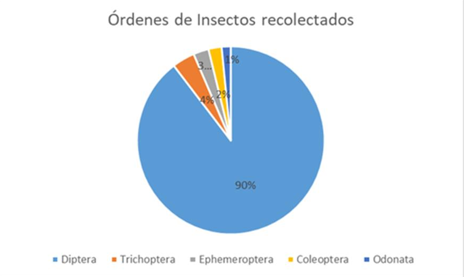 Órdenes de Insectos acuáticos con mayor riqueza, recolectados en el Río
de Vista Mares de Altos de Cerro Azul, Panamá