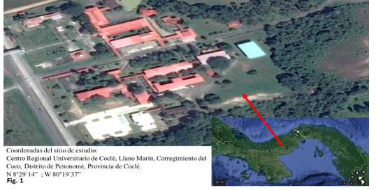 Mapa y coordenadas del
sitio de estudio.