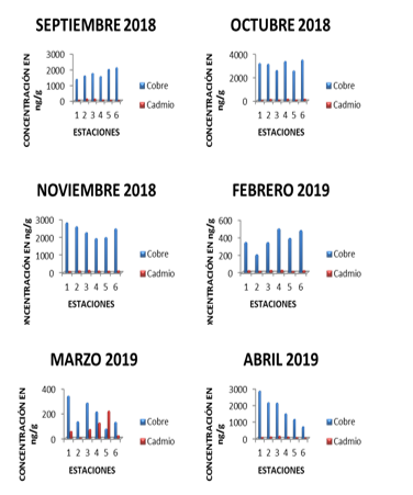 Concentraciones de metales pesados Cu y Cd en gónadas de Anadara
tuberculosa de acuerdo a los meses de muestreo