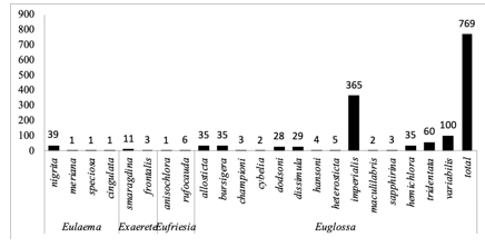 Cantidad total de
especies registradas por género de la Tribu Euglossini en la RHCT