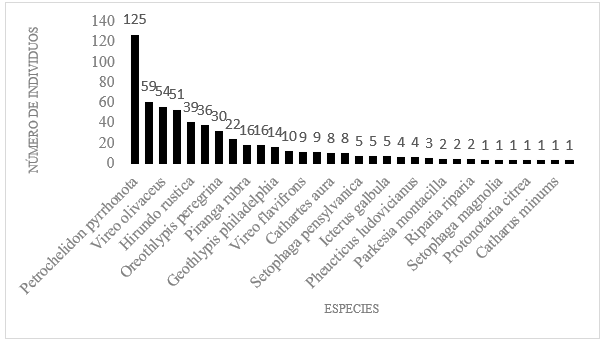 Número de individuos registrados por especies