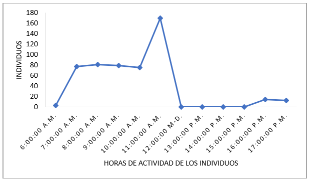 Actividad por horas de los individuos