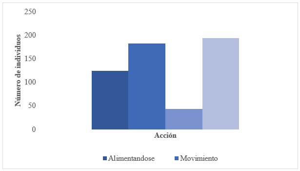 Comportamiento de los individuos observados en
El Valle de Antón