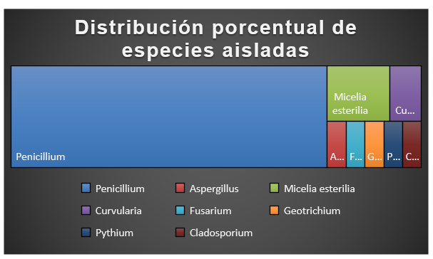 Gráfico N°1.
Distribución porcentual de hongos filamentosos encontrados en el muestreo
realizado a las serpientes en cuarentena del CEREO.  

 