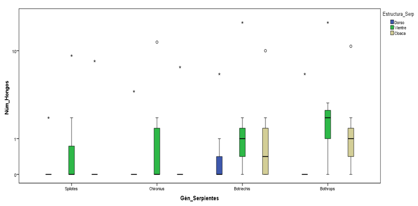 Gráfico
N°2. Distribución porcentual de hongos filamentosos encontrados en el muestreo,
compara especies y distribución por área.  

 
