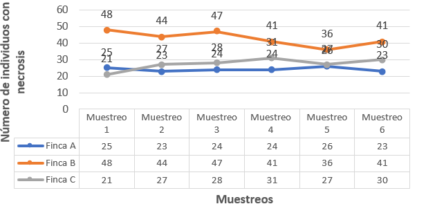 Figura 1