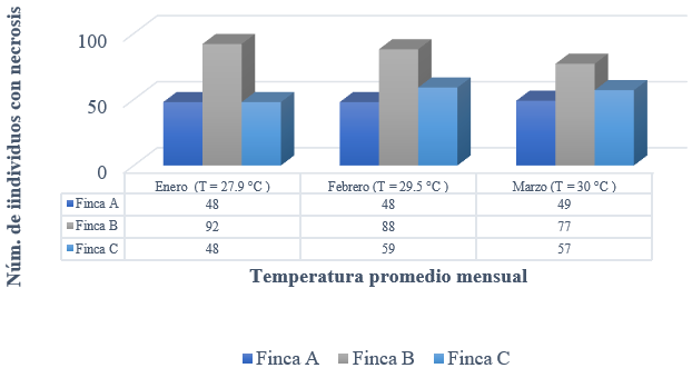 Figura 2