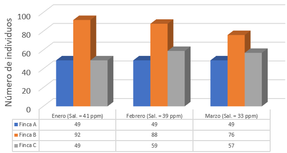 Figura 3