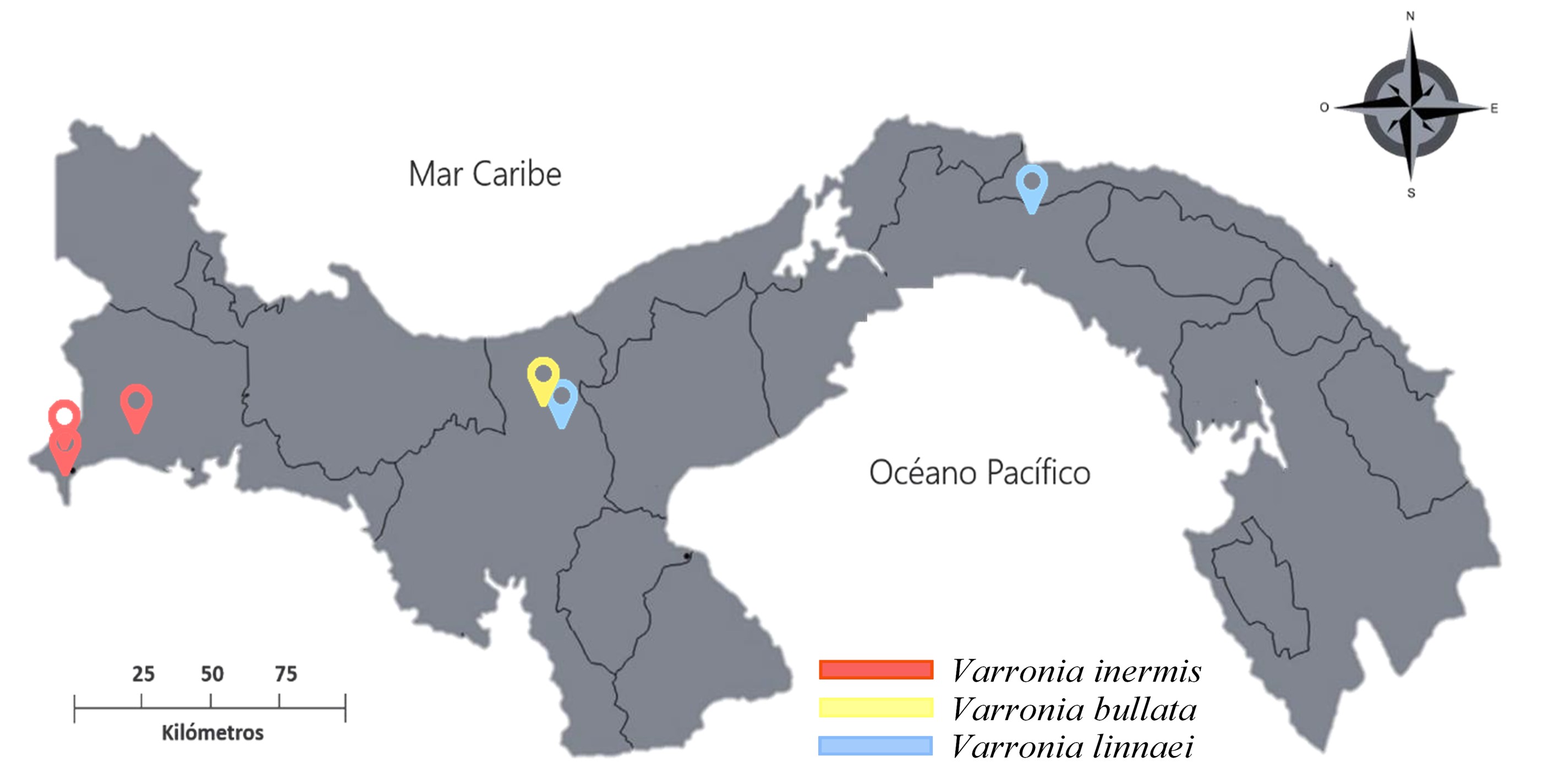 Localidades de colecta de las especies
estudiadas