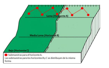 Distribución de submuestras en el terreno de muestreo