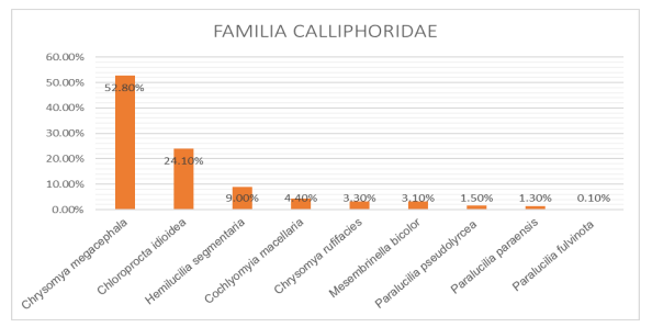 Porcentajes de Capturas por especie
de la familia Calliphoridae