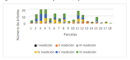Número de árboles de mangle muerto por etapa de medición