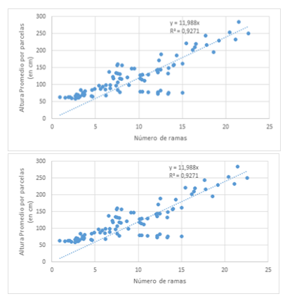 Correlación entre la altura promedio de árboles
por parcelas vs número de ramas.