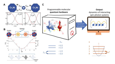 Quantum Simulations with SMMs: (A) Schematic representation of a pair of 

{Cr7Ni} rings, linked by a Ni2+ ion (to) and single-qubit rotation
and simulation of a two-qubits gate-controlled j (C-j) (bottom). (B)
View of a hybrid nuclear-electronic spin architecture. Quantum simulation of the oscillation of the magnetisation for an S 

= 1 spin
experiencing QTM and sequence of pulses required for the simulation. (C) Schematic view of a multilevel molecular quantum simulator. The system is composed of a qudit
spin S1 coupled by exchange interaction J to a spin s2 = 1/2. Panels (A) adapted from
ref. (Alessandro Chiesa et al., 2014) and panel (B) adapted from ref. (Atzori, Chiesa, et al., 2018) and panel
(C) adapted from ref. (Tacchino, Chiesa, Sessoli,
Tavernelli, & Carretta, 2021) with permission from The Royal Society of Chemistry.