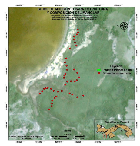 Estaciones de muestreos para la caracterización de los manglares de Pixvae. Los puntos representan los sitios de muestreo. Fuente: CCIMBIO. Imagen Planet Scope, CCIMBIO. 



 