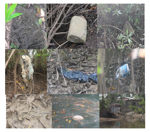 Restos de redes de pesca, bolsas y envases
plásticos, recipientes de foam, platos plásticos para comida, así como encierros para la cría de 



  



 

 

 

cerdos en el borde del manglar, todos agentes contaminantes documentados en un recorrido realizado por el manglar.