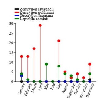 Frequency of occurrence for wild
doves at Chucantí Private Natural
Reserve, Darien, Panama. Note: This graph included only data for 2013. 

 