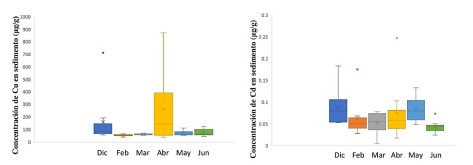 Concentración de cobre (Cu) y cadmio (Cd) en la
matriz sedimento, entre meses de muestreo.