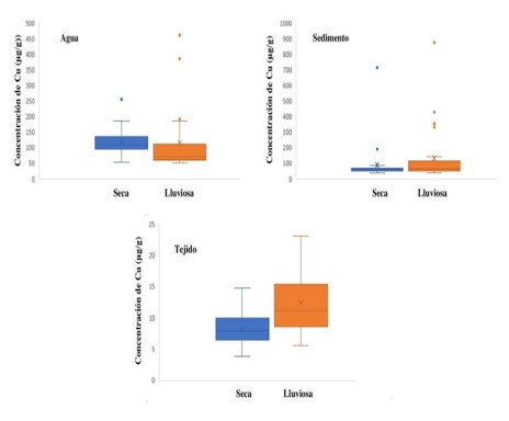 Concentración de cobre en agua, sedimento y tejido en temporada seca y
lluviosa.