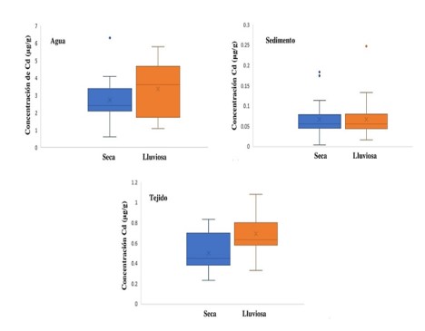 Concentración de cadmio en agua, sedimento y
tejido en temporada seca y
lluviosa.