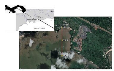 Mapa de localización del área de estudio, playa Bique, Pacífico de Panamá.
(modificado de Grajales &
Vergara, 2004)