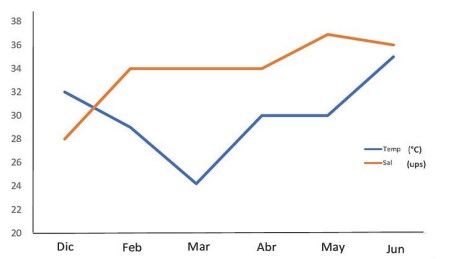 Variación de la temperatura (°C) y salinidad
(ups) en playa Bique, Panamá, durante el período de
estudio. 

 