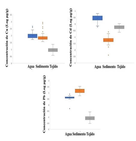 Concentración de cobre, cadmio y plomo (en
logaritmo de μg/g) en agua, sedimento y tejido blando