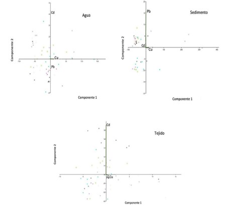 Análisis de componentes principales (PCA) de
los metales traza en agua, sedimento
y tejido blando. Los colores representan las distintas estaciones de colecta con sus respectivas repeticiones.